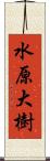 水原大樹 Scroll