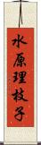 水原理枝子 Scroll