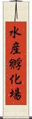 水産孵化場 Scroll
