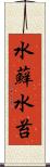 水蘚 Scroll