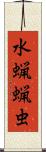 水蝋蝋虫 Scroll
