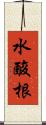 水酸根 Scroll