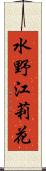 水野江莉花 Scroll