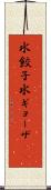 水餃子 Scroll