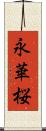 永華桜 Scroll