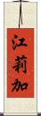 江莉加 Scroll