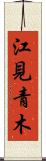 江見青木 Scroll