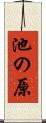 池の原 Scroll