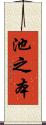 池之本 Scroll