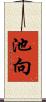 池向 Scroll