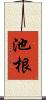 池根 Scroll