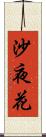 沙夜花 Scroll