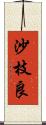 沙枝良 Scroll