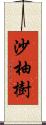 沙柚樹 Scroll