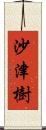 沙津樹 Scroll