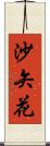 沙矢花 Scroll