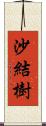 沙結樹 Scroll