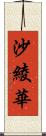 沙綾華 Scroll