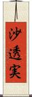 沙透実 Scroll