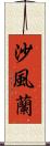 沙風蘭 Scroll