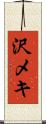 沢メキ Scroll