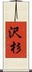 沢杉 Scroll