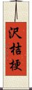 沢桔梗 Scroll