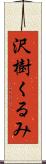 沢樹くるみ Scroll