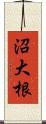 沼大根 Scroll