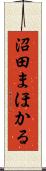 沼田まほかる Scroll