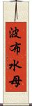 波布水母 Scroll