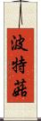 波特菇 Scroll