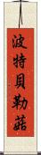 波特貝勒菇 Scroll