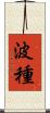 波種 Scroll