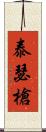 泰瑟槍 Scroll