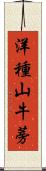 洋種山牛蒡 Scroll