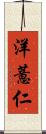 洋薏仁 Scroll