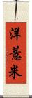 洋薏米 Scroll