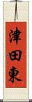 津田東 Scroll