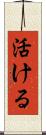 活ける Scroll