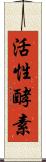 活性酵素 Scroll