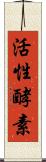 活性酵素 Scroll