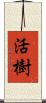 活樹 Scroll