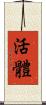 活體 Scroll
