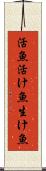 活魚 Scroll