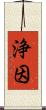 浄因 Scroll