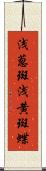 浅葱斑 Scroll