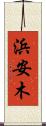 浜安木 Scroll