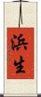 浜生 Scroll