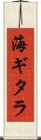 海ギタラ Scroll